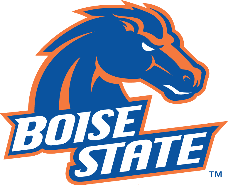 Boise State Broncos 2002-2012 Primary Logo iron on paper